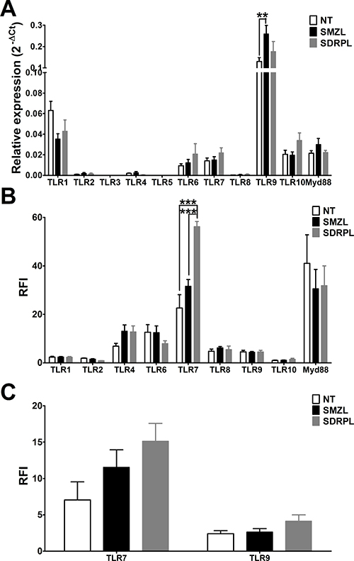 Pattern of TLR mRNA and protein expressions.