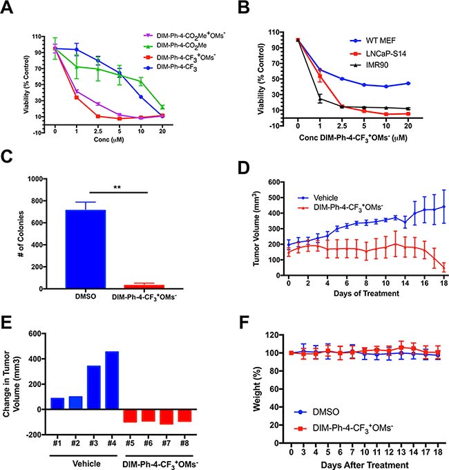 DIM-Ph-4-CF3+OMs- inhibits prostate cancer growth in vivo.