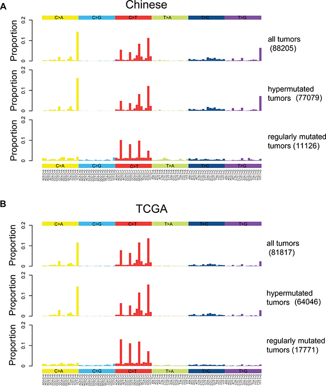 Somatic mutation spectrums for all, hypermutated and regularly mutated samples.