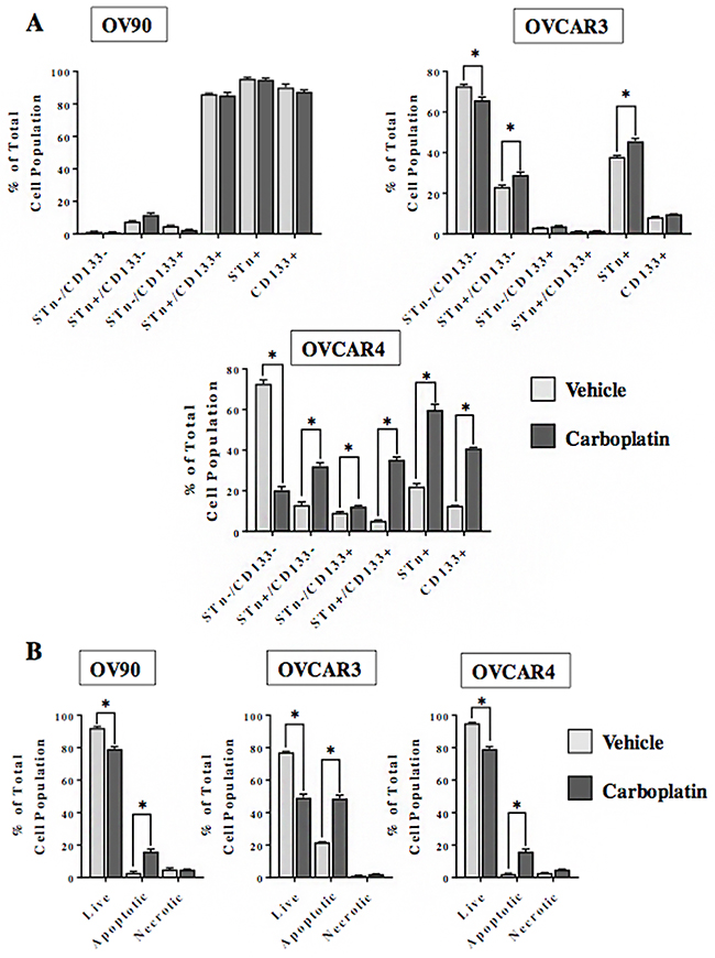 STn&#x002B; and CD133&#x002B; cells display chemoresistance.