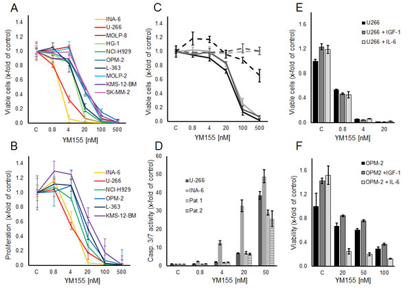 YM155 inhibits viability, proliferation and induces apoptosis in MM cell lines and primary MM cells.