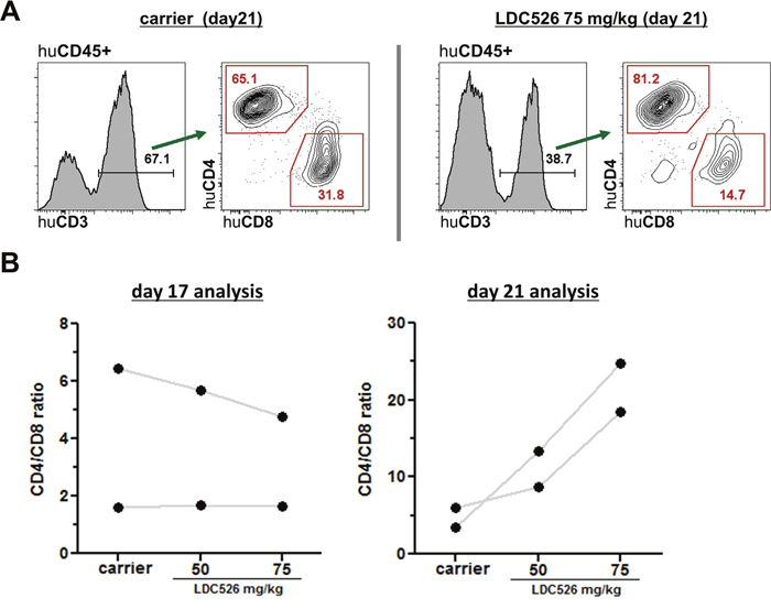 Analysis of human CD4+ and CD8+ T cell subsets in CLL transplanted NSG spleens.