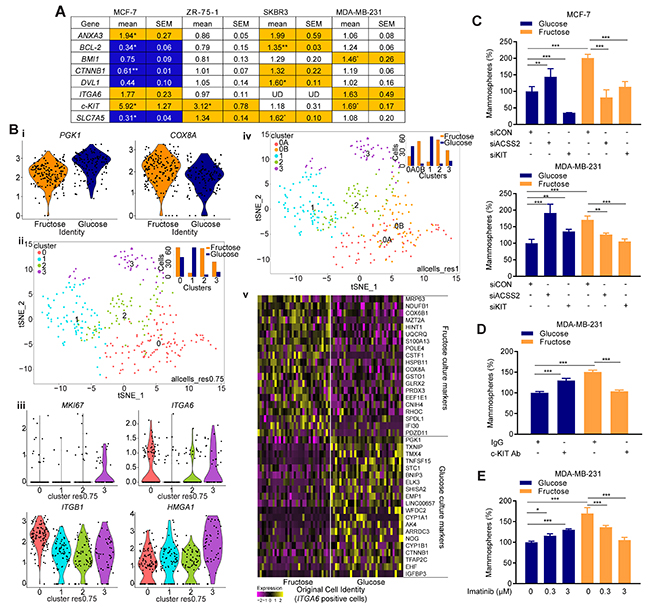 Restricted glycolysis alters metabolic signatures in breast SCLC cells.