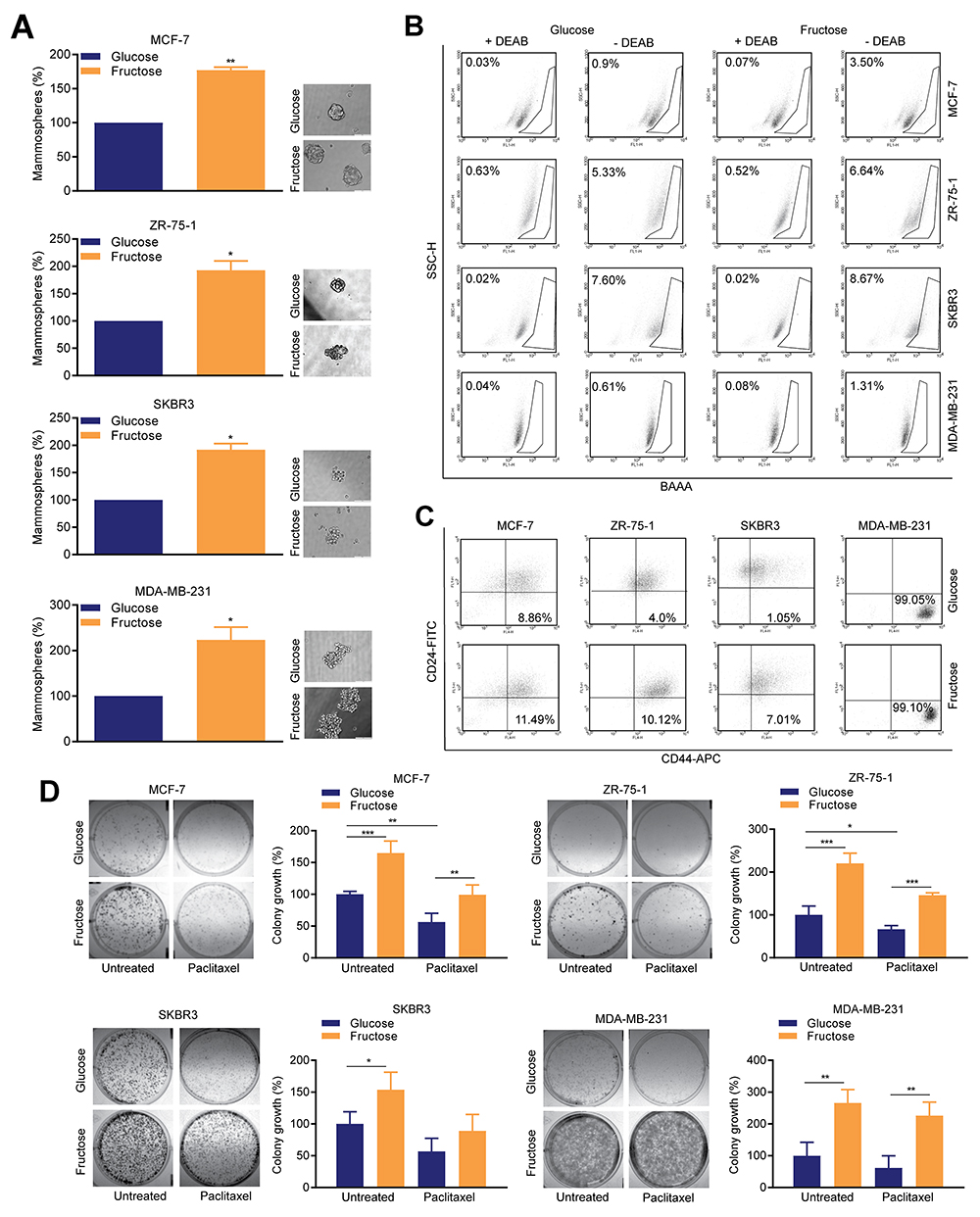 Restricted glycolysis enhances the SCLC cell population in breast cancer cells.