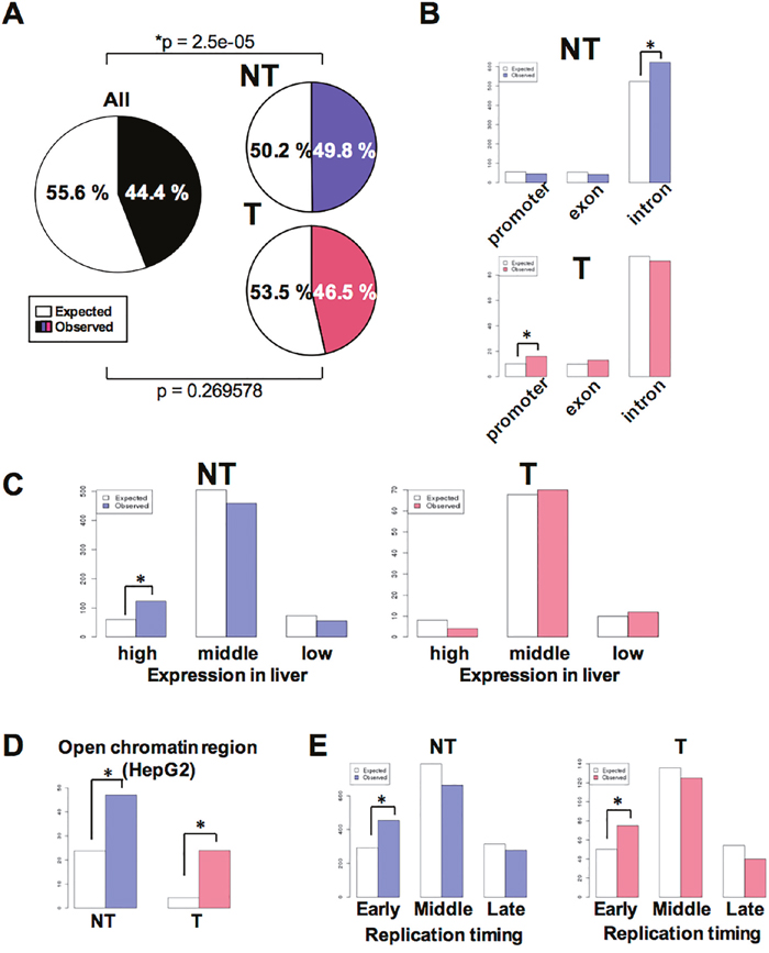 Characteristics associated with HBV integration of HBV into NT and T samples.