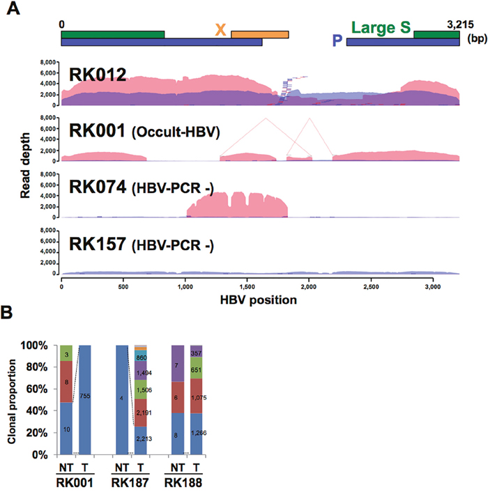 HBV integrations in paired NT and T samples.