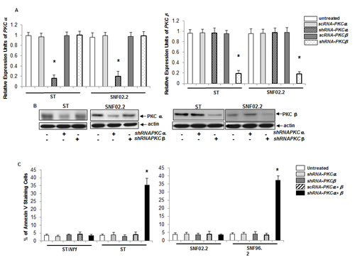 Induction of apoptosis by the concurrent knockdown of