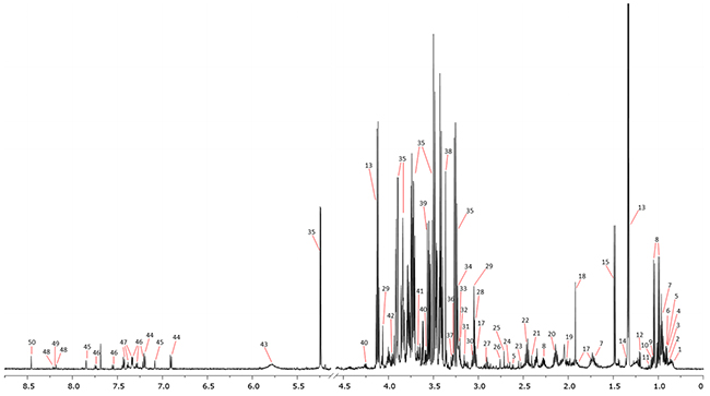 Representative 1H NMR spectrum with marked resonance signals.