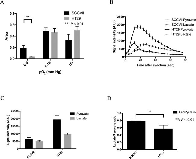 Tumor volume, pO2, pO2 fraction, and Glycolytic metabolism in SCCVII and HT29 tumor.