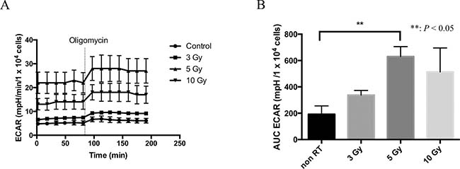 Extracellular acidification rate (ECAR) as a marker of lactate production.