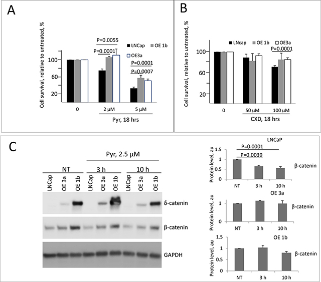 Sensitivity of &#x03B4;-catenin overexpressing cells to treatment with &#x03B2;-catenin inhibitor pyrvinium.