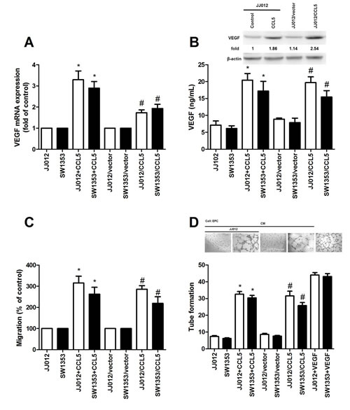 CCL5 boosts VEGF expression, subsequently facilitating angiogenesis in human chondrosarcoma.