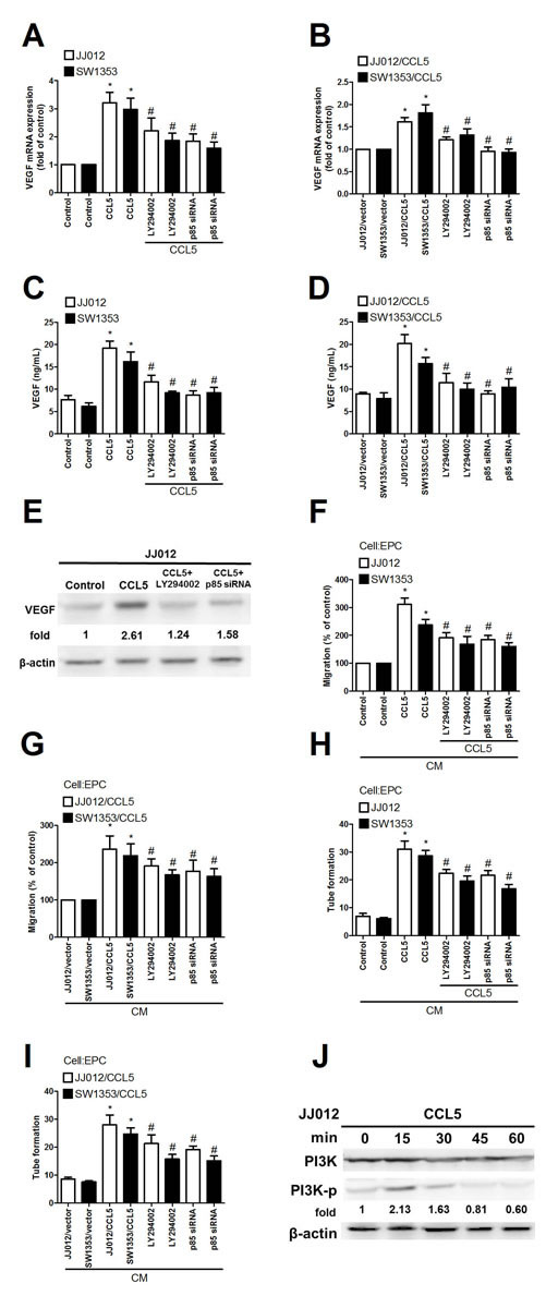 PI3K involved in CCL5-mediated VEGF expression and angiogenesis in human chondrosarcoma.