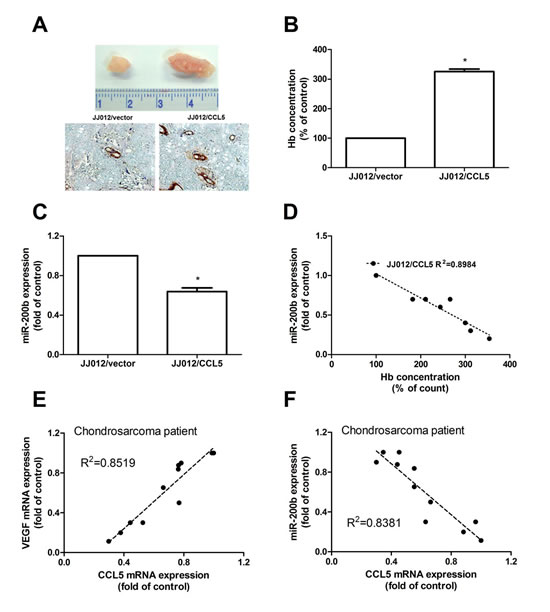 CCL5 increases tumor-associated angiogenesis and tumor growth by down-regulating miR-200b in vivo.