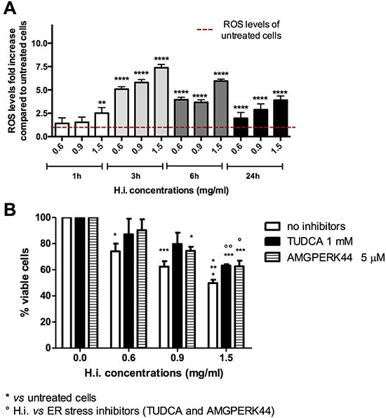 H.i. induces ER and oxidative stress.