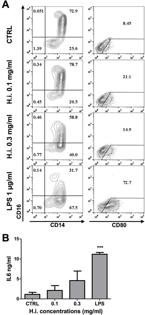 H.i. impacts on CD14 monocytes activation.