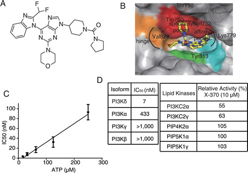 Structure of X-370 and its inhibitory activity against lipid kinases.