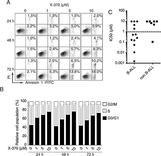PI3K&#x3b4; inhibition led to blockade of B cell leukemia cells proliferation via induction of cell cycle arrest and apoptosis.