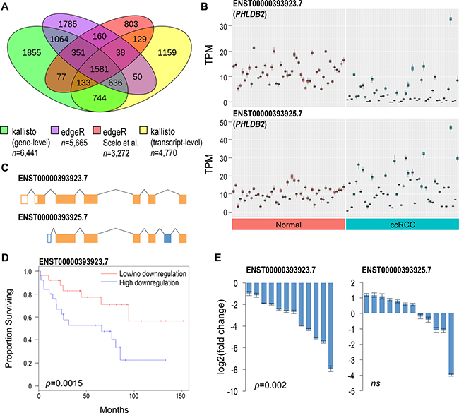 Comparative differential expression analysis identifies novel genes implicated in ccRCC.