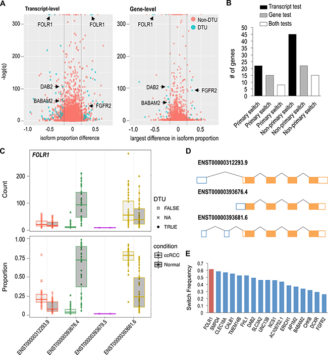 Few high frequency DTU genes observed in ccRCC.