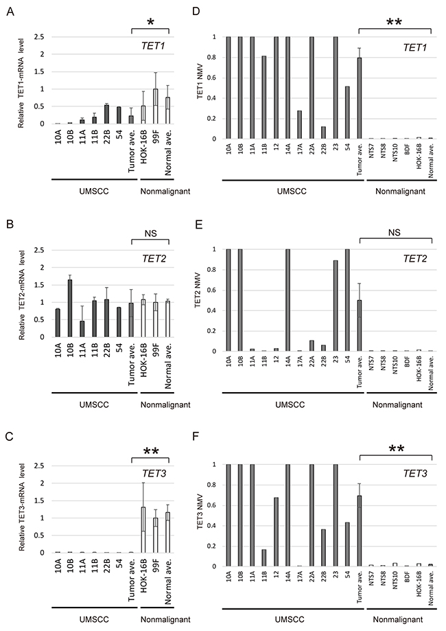 mRNA expression and promoter methylation of TET family genes in HNSCC cell lines.