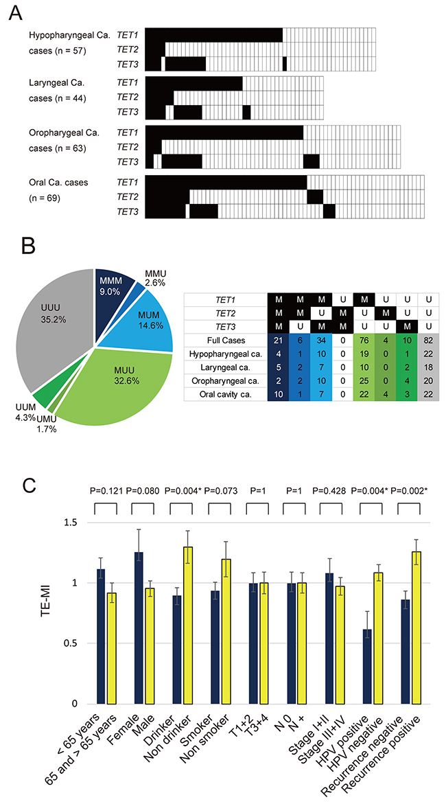 Summary of the promoter methylation status of TET family genes in 233 HNSCC samples.