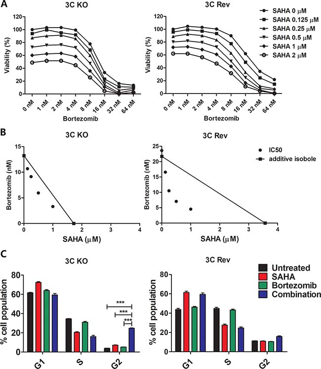 Effects of combination of SAHA and bortezomib on cell proliferation and cell cycle progression of EBNA3C-knockout and EBNA3C-expressing BL2 cells.