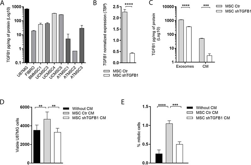 Effects of MSC-secreted TGFB1 on GBM cell proliferation.