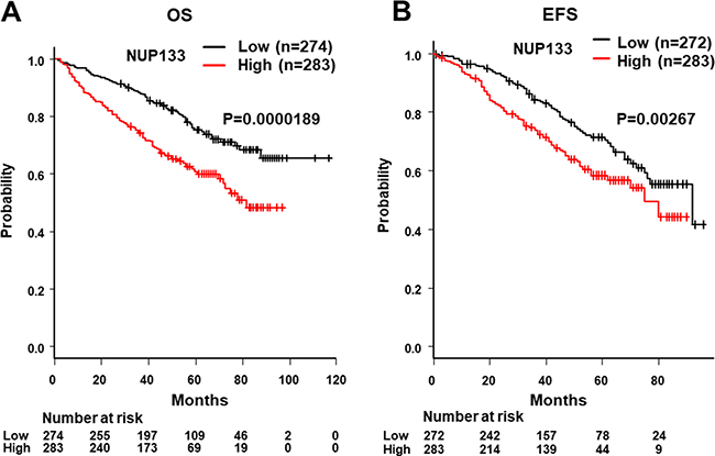 Analysis of OS and event-free survival (EFS) with high and low levels of NUP133 mRNA expression in CD138+ myeloma cells.