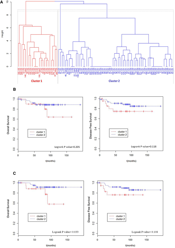 Unsupervised hierarchical clustering and survival analysis.