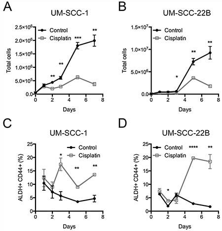 Frequency of ALDHhighCD44high cells after cisplatin treatment.