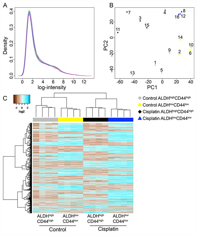 Microarray analysis of ALDHhighCD44high and ALDHlowCD44low cells from control and cisplatin-treated UM-SCC-22B.