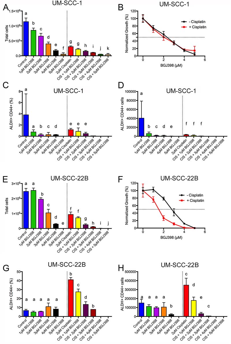 BGJ398 targeting of cisplatin-resistant ALDHhighCD44high cells.