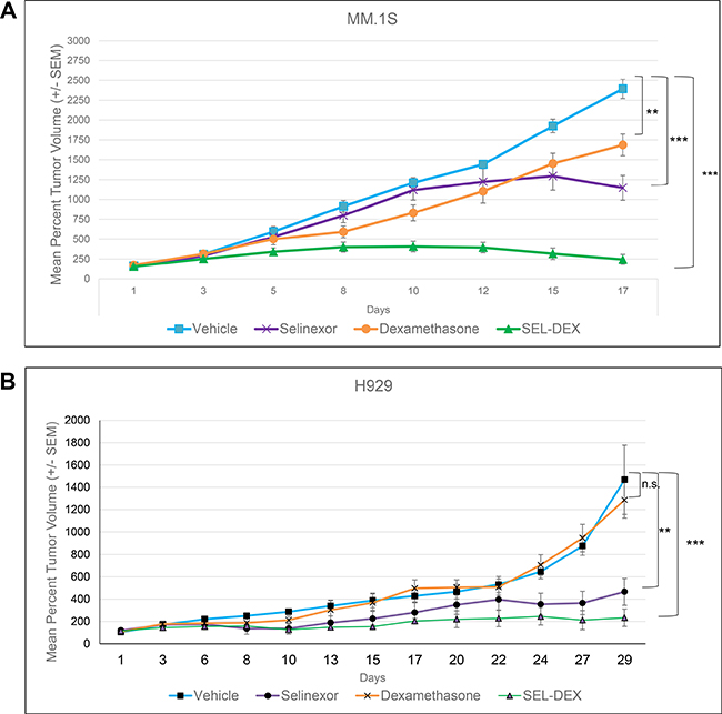 SEL-DEX synergistically inhibits MM tumor growth in vivo.