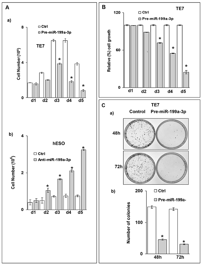 Ectopic expression of miR-199a-3p suppresses cell proliferation in esophageal cancer cells.