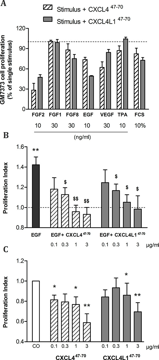 Effects of CXCL447&#x2013;70 and CXCL4L147&#x2013;70 on endothelial cell proliferation.