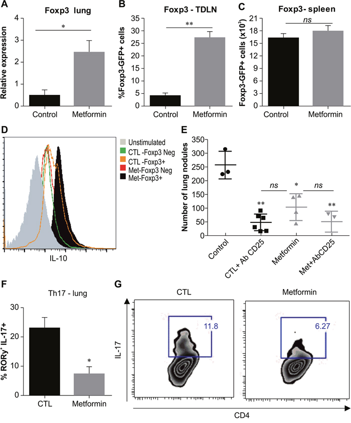 Metformin treatment induces an increase in CD4+Foxp3+IL-10+ cells in vivo.