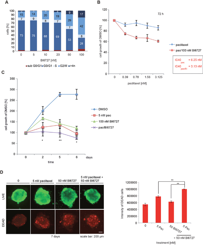 BI6727 treatment sensitizes patient-derived HGSOC cells to paclitaxel.