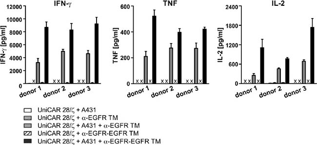 ELISA analysis of cytokine release from EGFR-redirected UniCAR-endowed T cells.