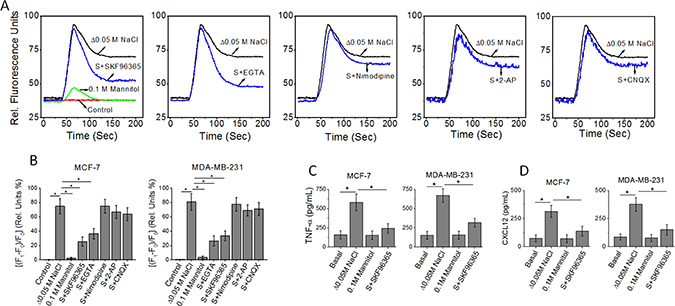 Figure 1: