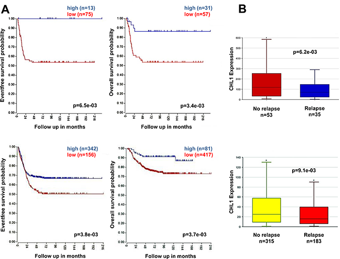 Low CHL1 expression correlates with poor prognosis in NB patients.