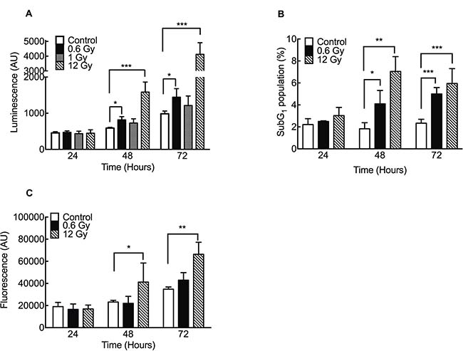 Low doses of IR increase apoptosis in DLD-1 cells.