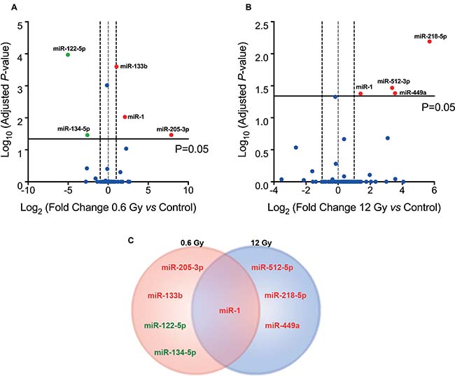 IR-induced miRNA expression profile in colorectal cancer cells.