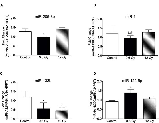 Expression levels of target mRNA in cells exposed to low and high-dose IR.