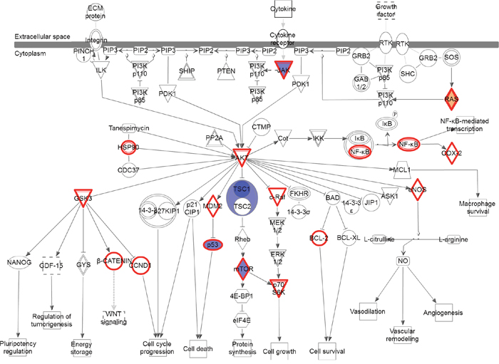 Pathways altered in brain metastases compared to primary NSCLC.