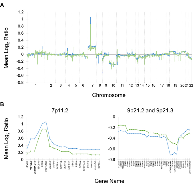 Copy number alterations in typical and exceptional responders relative to normal.