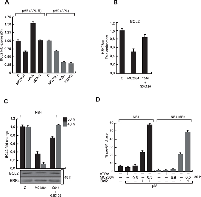 Epigenetic changes upon MC2884 treatment result in reduced BCL2 expression.