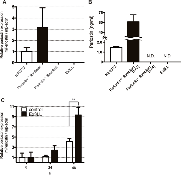Ex3LL supernatant promotes periostin expression in NIH/3T3 cells.