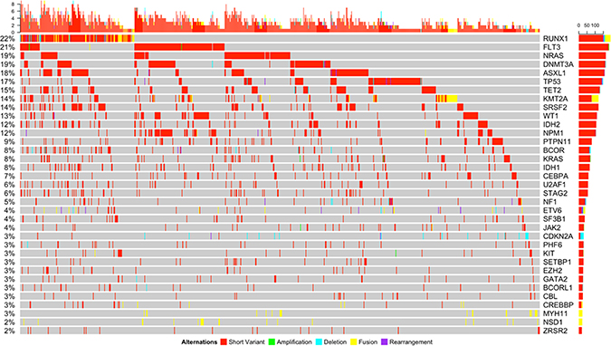 Somatic genomic alterations of all types (short variants, amplifications, deletions, fusions, and rearrangements) with a frequency of &#x2265;2% and associated co-occurring mutations detected in the entire cohort.