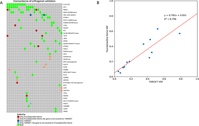 Orthogonal validation between F1H and TARGET platforms.